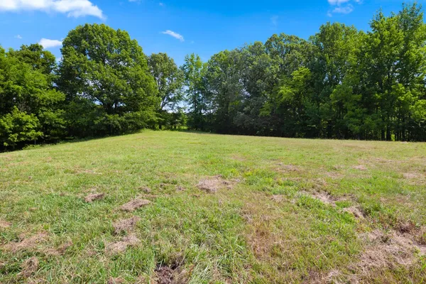 a view of an outdoor space and a yard