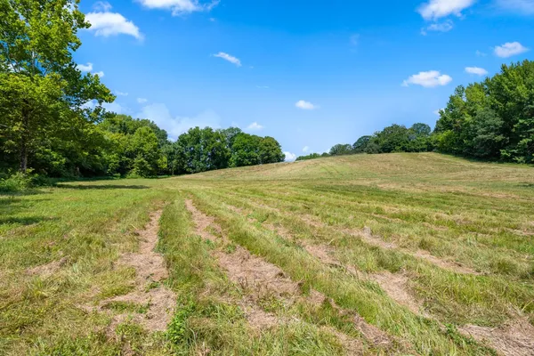 a view of a field with an trees