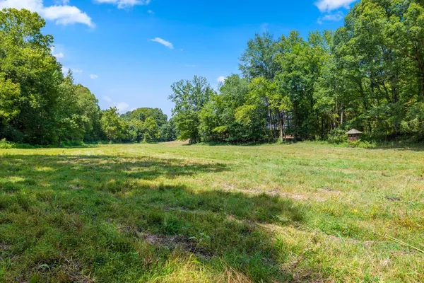 a view of a green field with trees in the background