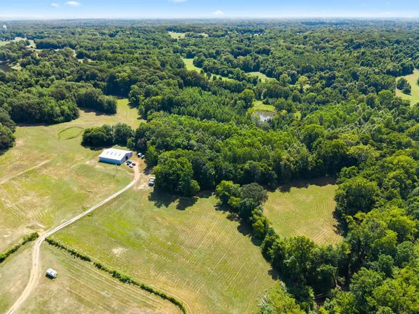 a view of a yard with plants
