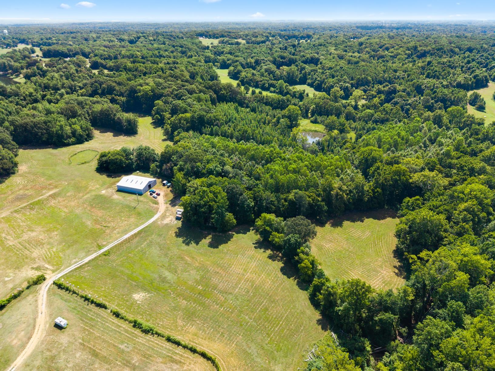 8508 Campground Road Drummonds, TN 38023 - Photo 27 of 31 a view of a yard with plants