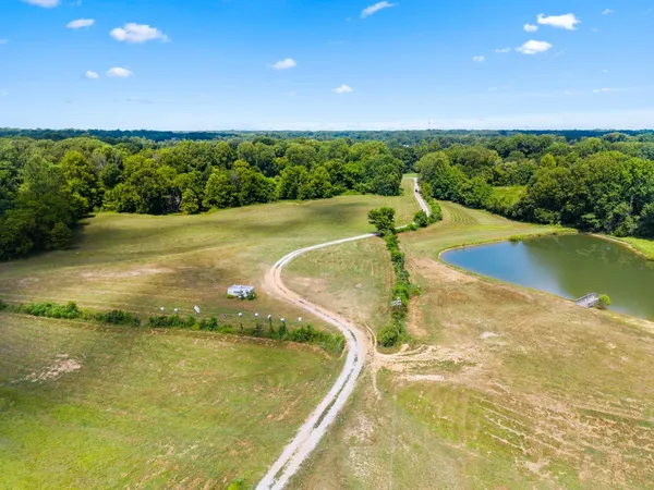 a view of a swimming pool with a yard
