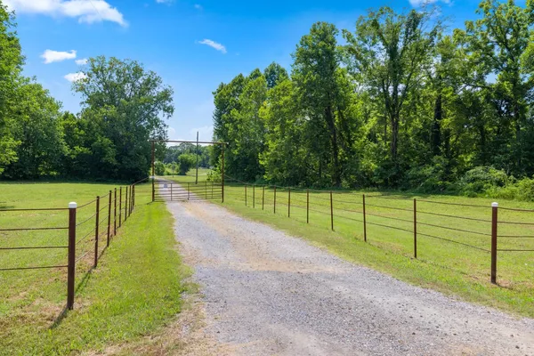 a view of park with large trees