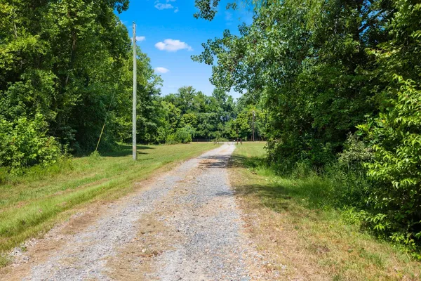 a view of backyard with green space