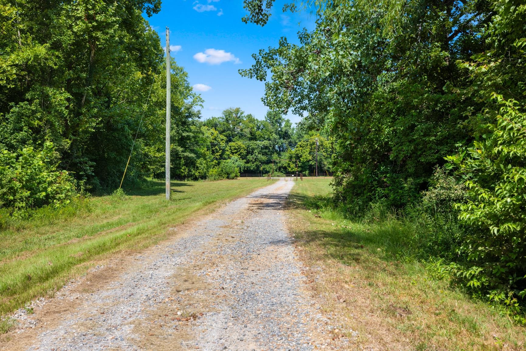 8508 Campground Road Drummonds, TN 38023 - Photo 6 of 31 a view of backyard with green space