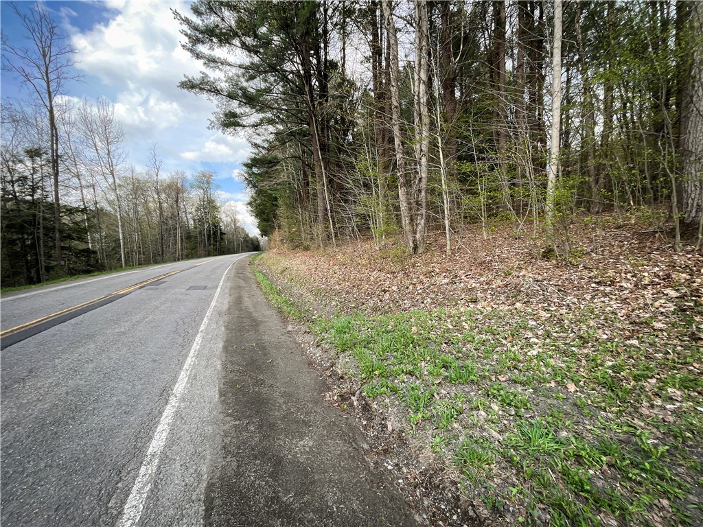 West Creek Road Richford, NY 13835 - Photo 2 of 44