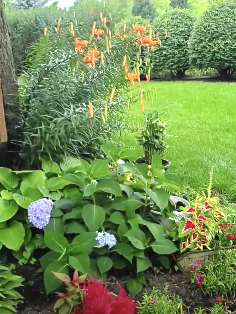 6-s151 Old Eola Road Aurora, IL 60502 - Photo 11 of 67