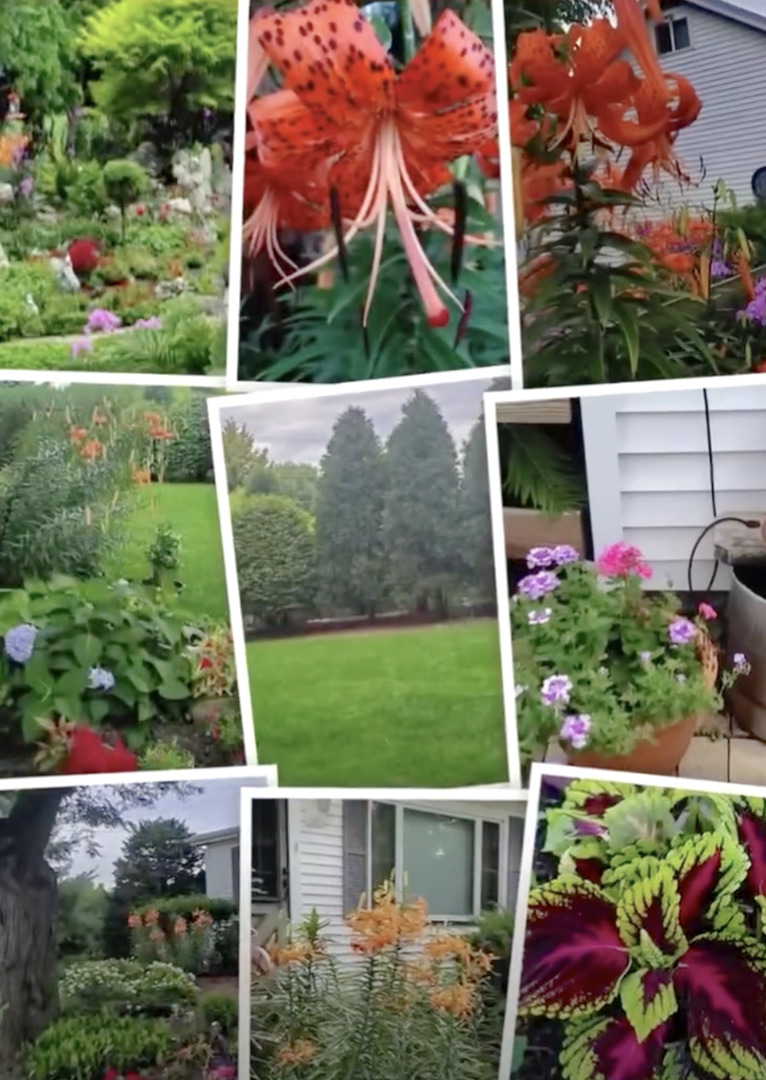 6-s151 Old Eola Road Aurora, IL 60502 - Photo 13 of 67