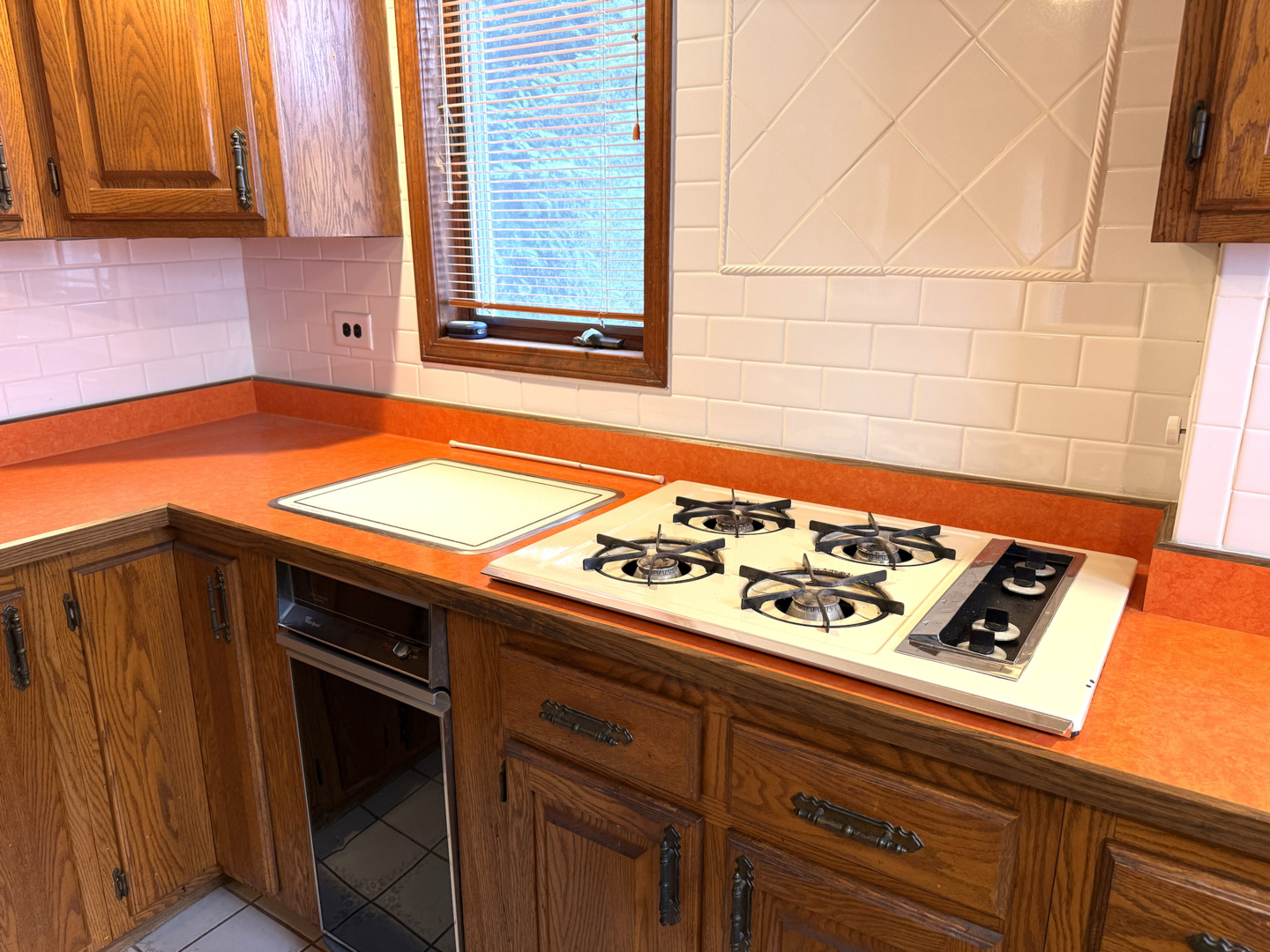 6-s151 Old Eola Road Aurora, IL 60502 - Photo 29 of 67