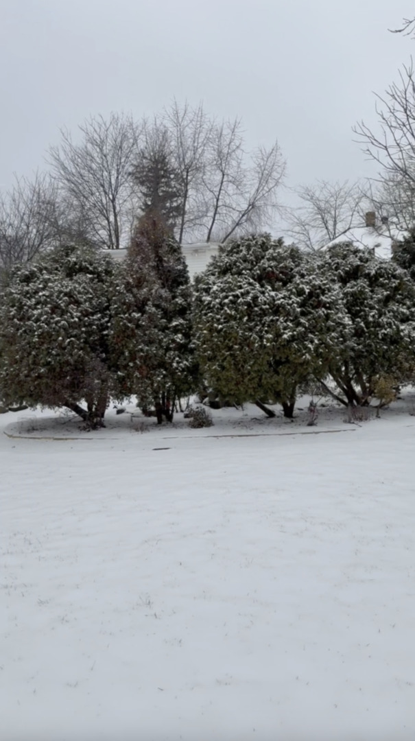 6-s151 Old Eola Road Aurora, IL 60502 - Photo 54 of 67