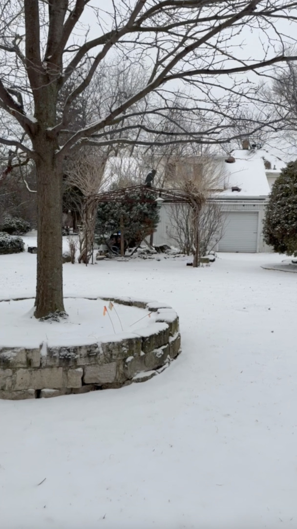 6-s151 Old Eola Road Aurora, IL 60502 - Photo 55 of 67