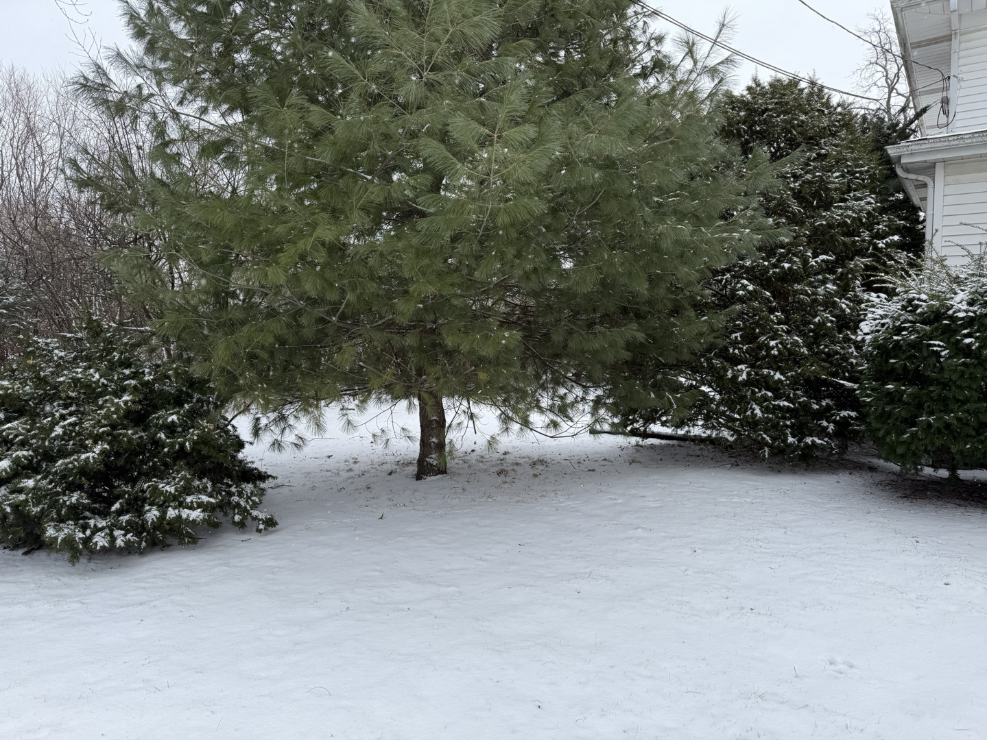 6-s151 Old Eola Road Aurora, IL 60502 - Photo 56 of 67