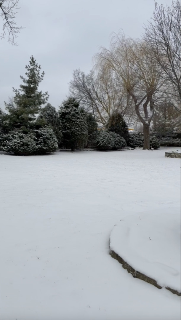 6-s151 Old Eola Road Aurora, IL 60502 - Photo 60 of 67