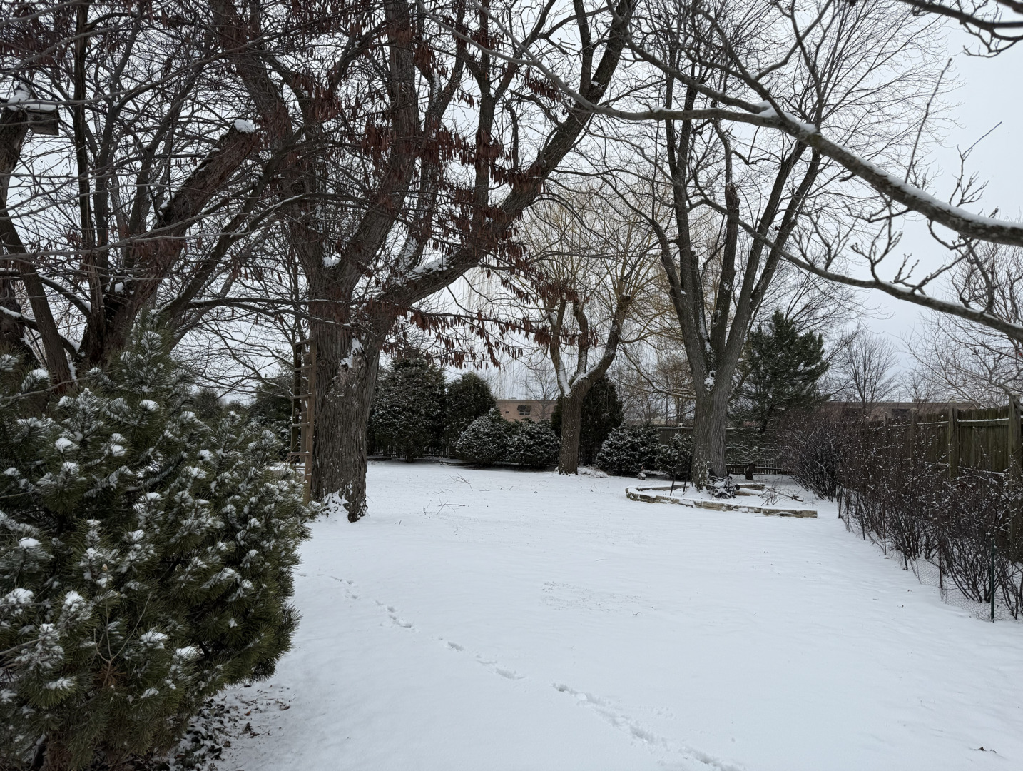 6-s151 Old Eola Road Aurora, IL 60502 - Photo 63 of 67