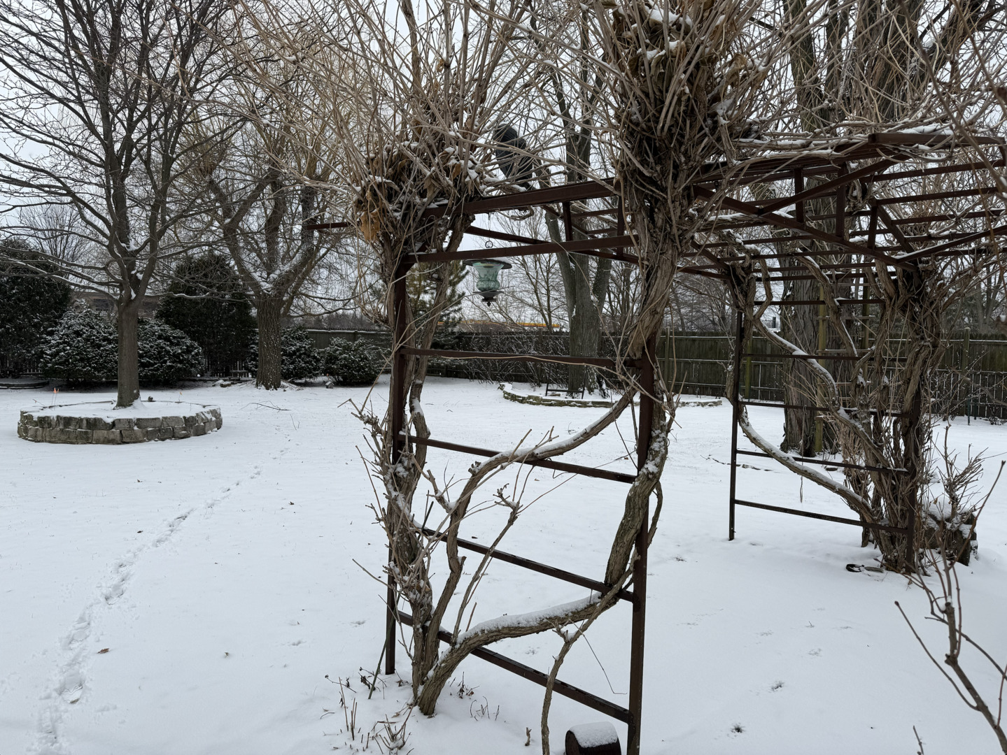 6-s151 Old Eola Road Aurora, IL 60502 - Photo 64 of 67