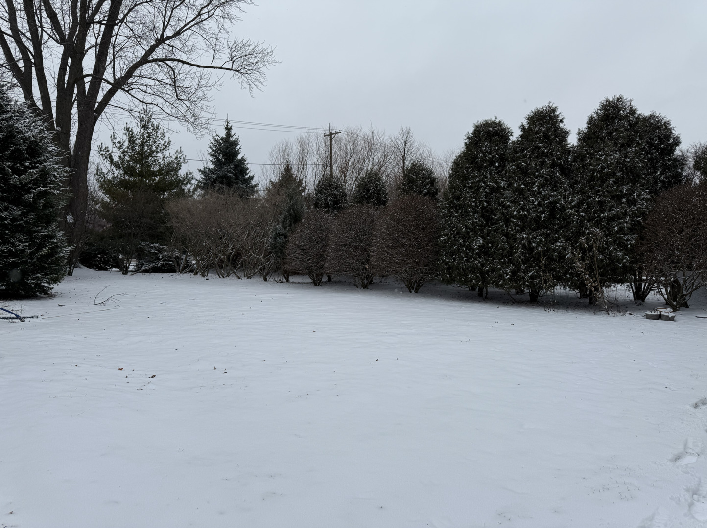 6-s151 Old Eola Road Aurora, IL 60502 - Photo 67 of 67