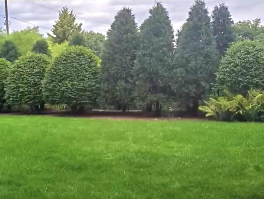 6-s151 Old Eola Road Aurora, IL 60502 - Photo 9 of 67