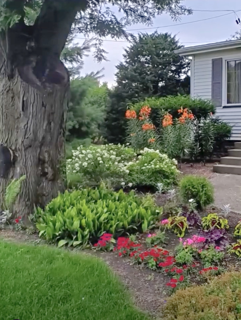 6-s151 Old Eola Road Aurora, IL 60502 - Photo 10 of 67