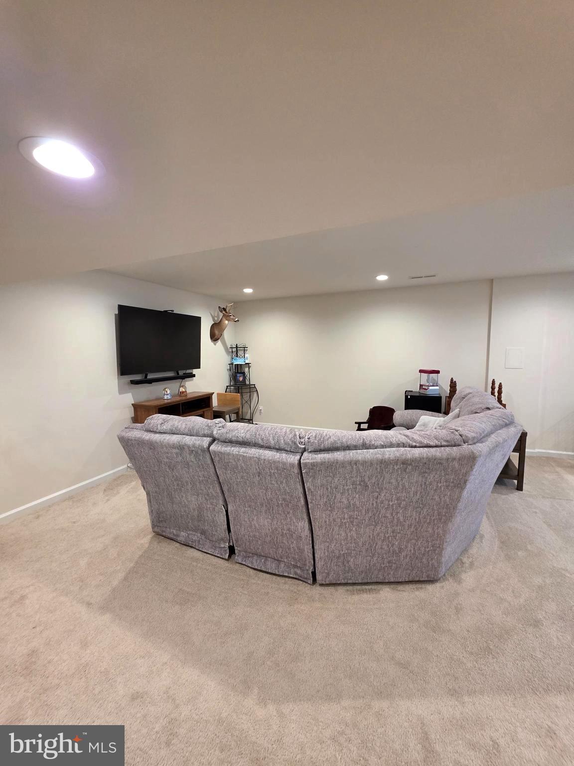 6014 Stubbs Bridge Road Mineral, VA 23117 - Photo 37 of 53 Basement Living Room