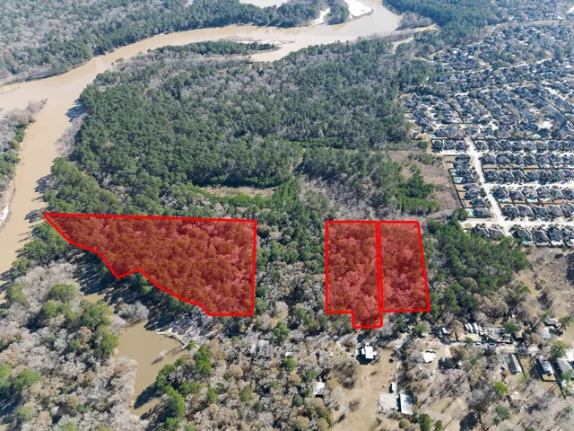a view of a forest with a street