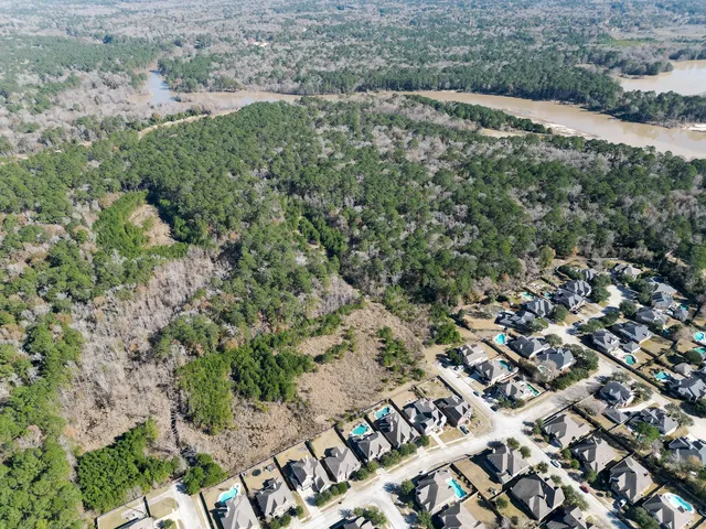a view of a forest with a street
