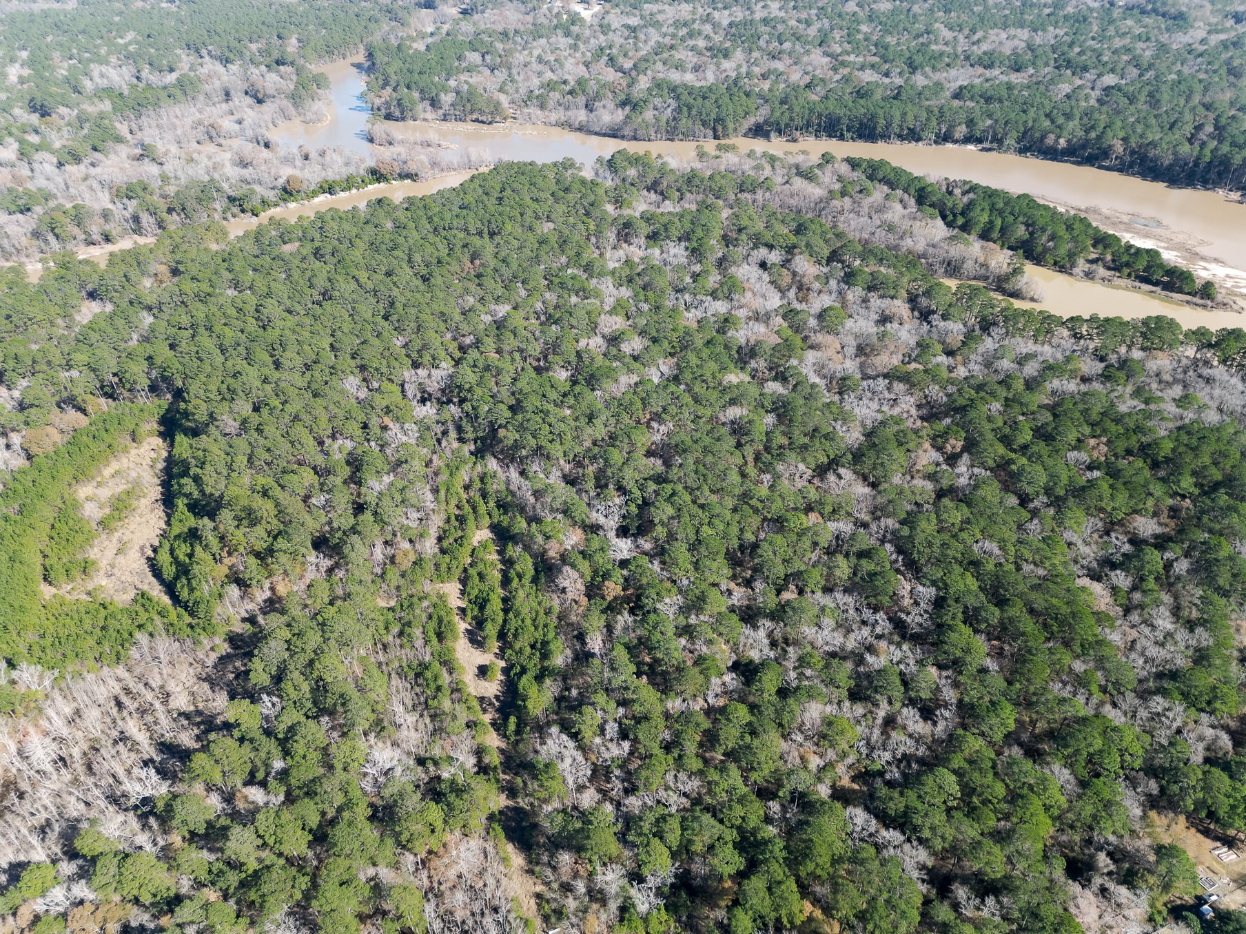 9 Dunnam Road Kingwood, TX 77345 - Photo 22 of 42 a view of a forest with a street