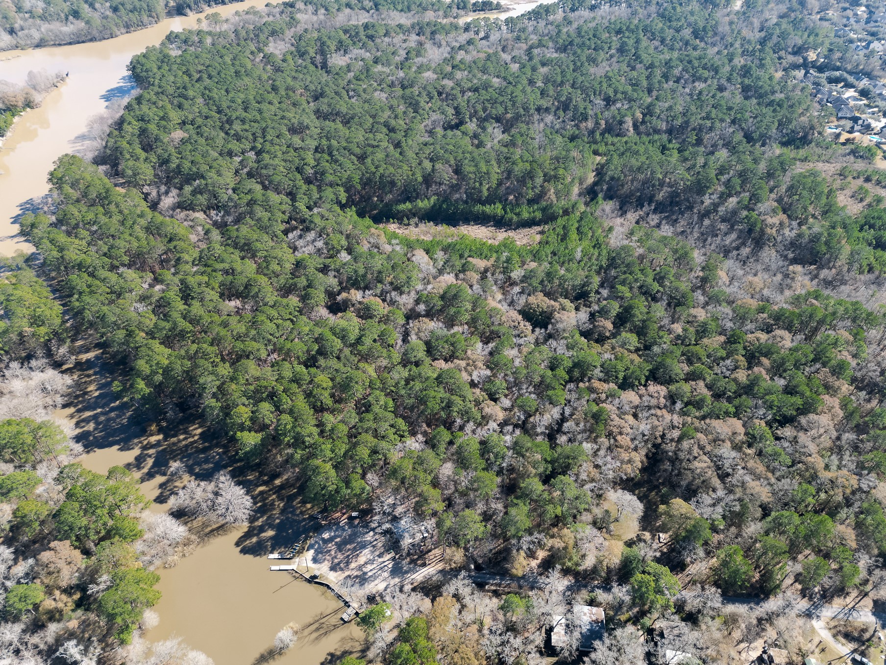 9 Dunnam Road Kingwood, TX 77345 - Photo 26 of 42 a view of a forest with a tree