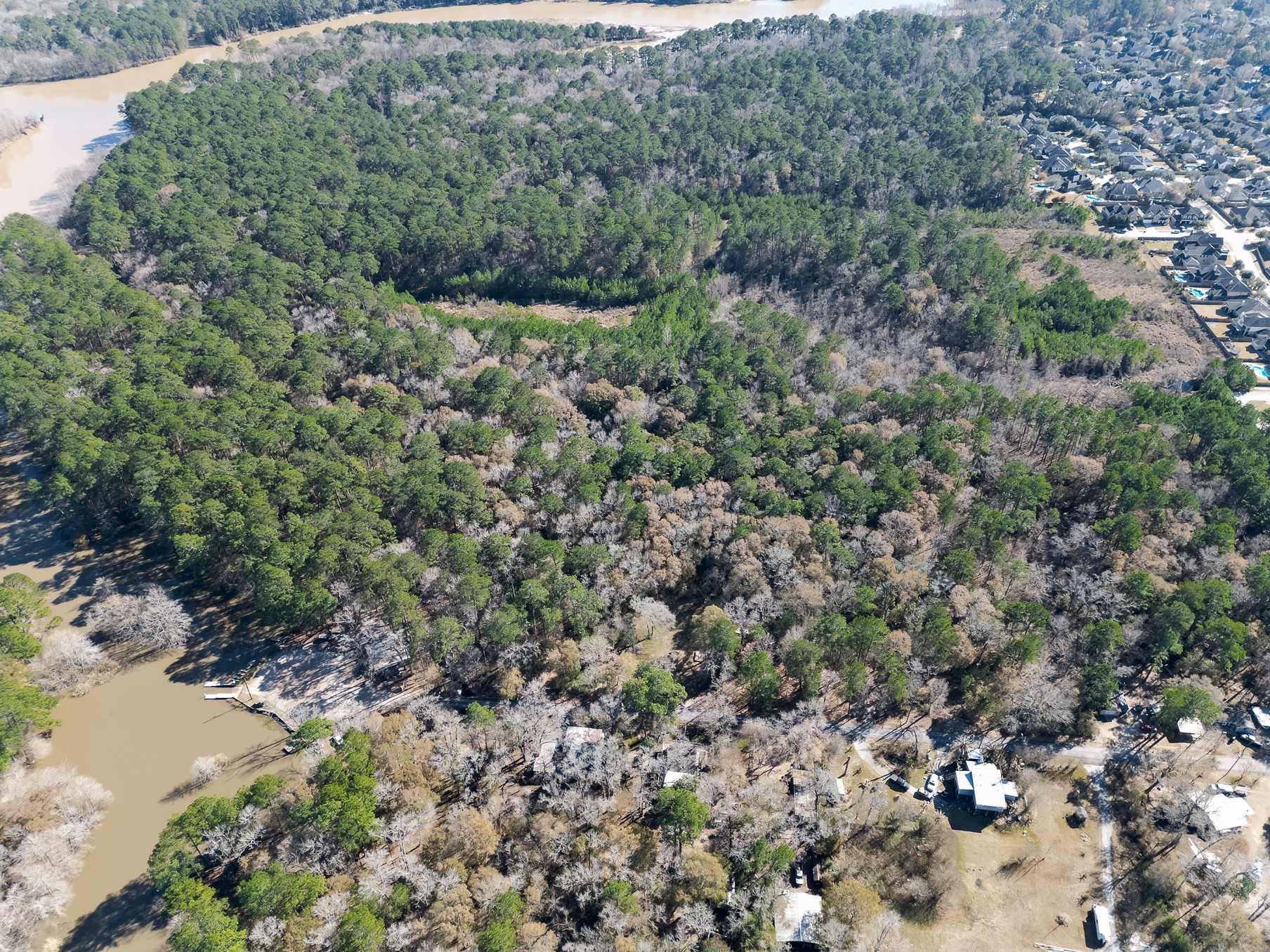 9 Dunnam Road Kingwood, TX 77345 - Photo 27 of 42 a view of a forest with a street