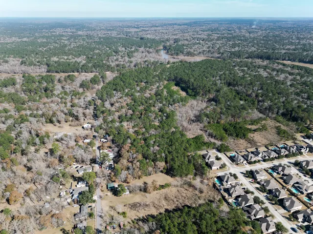 an aerial view of forest