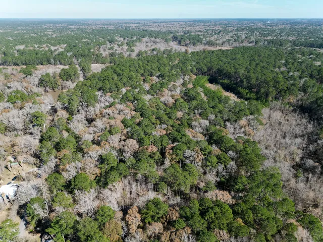 an aerial view of residential houses with outdoor space and trees