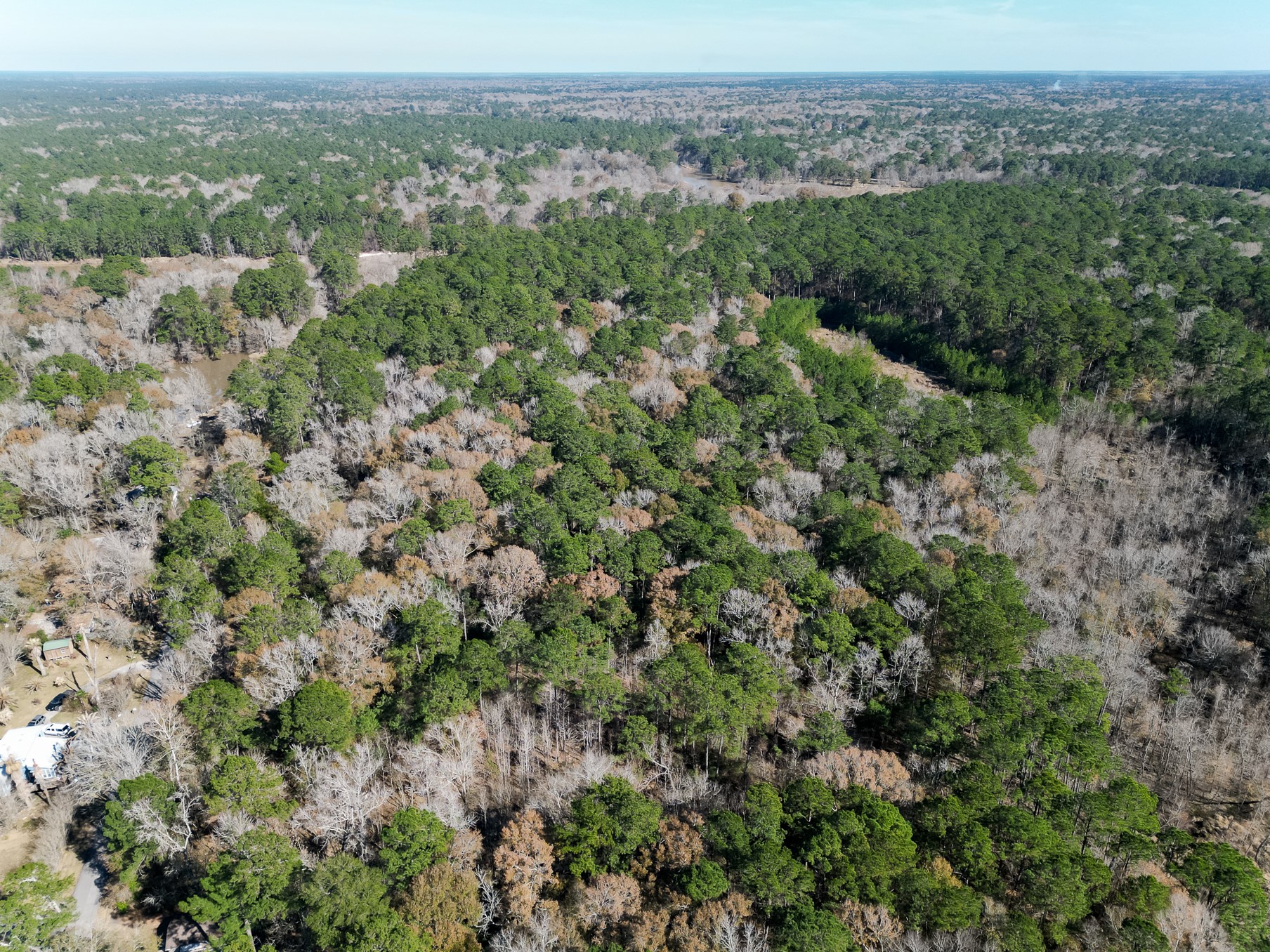 9 Dunnam Road Kingwood, TX 77345 - Photo 36 of 42 an aerial view of forest