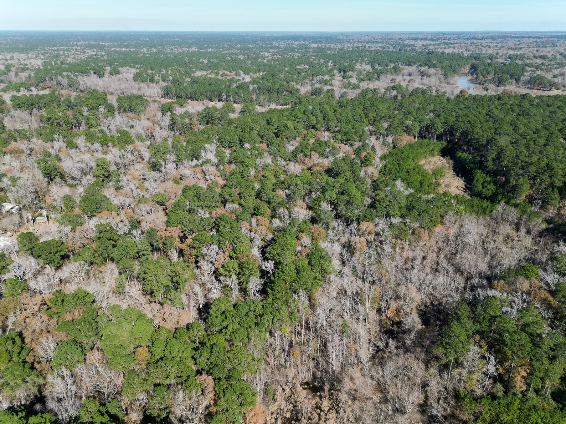 9 Dunnam Road Kingwood, TX 77345 - Photo 37 of 42 an aerial view of forest