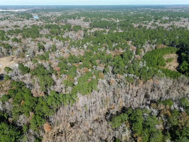 an aerial view of residential houses with outdoor space and trees