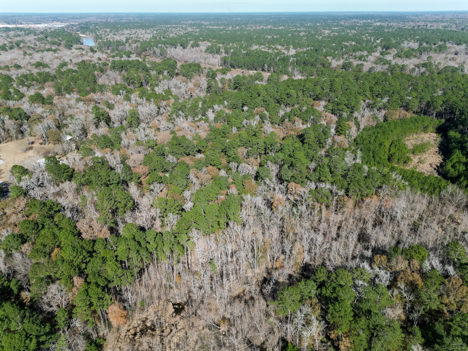 9 Dunnam Road Kingwood, TX 77345 - Photo 38 of 42 an aerial view of residential houses with outdoor space and trees