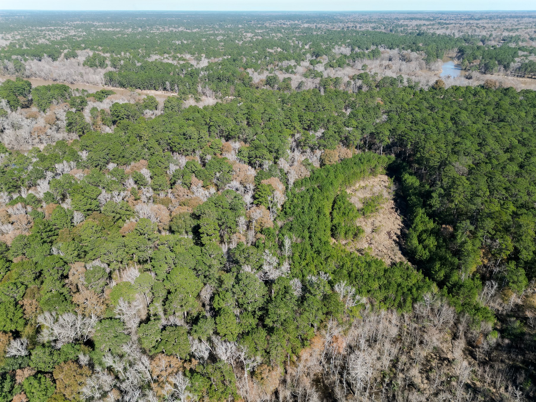 9 Dunnam Road Kingwood, TX 77345 - Photo 39 of 42 an aerial view of residential houses with outdoor space and trees