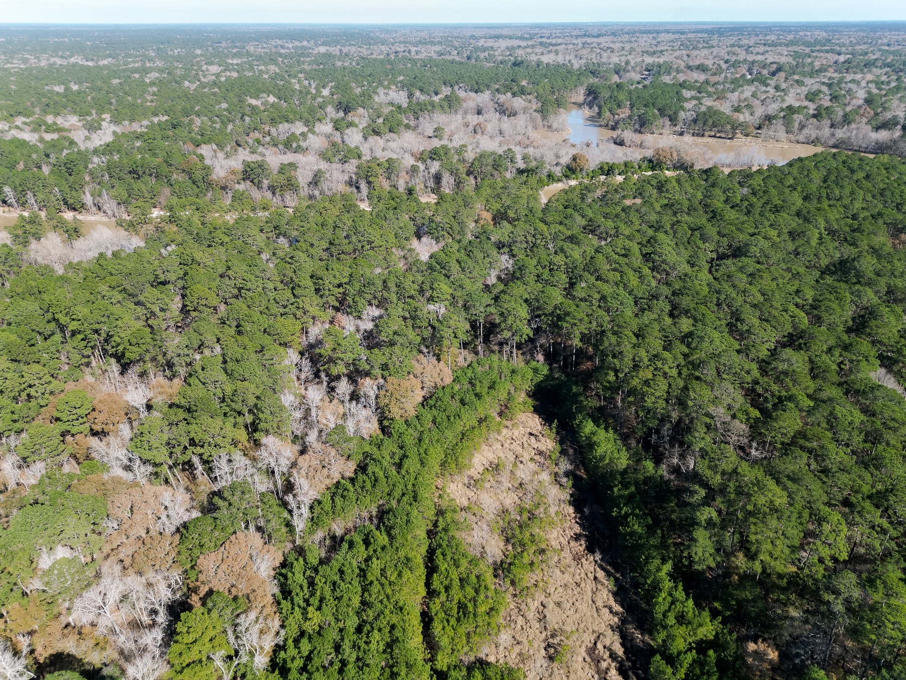 9 Dunnam Road Kingwood, TX 77345 - Photo 40 of 42 an aerial view of residential houses with outdoor space and trees