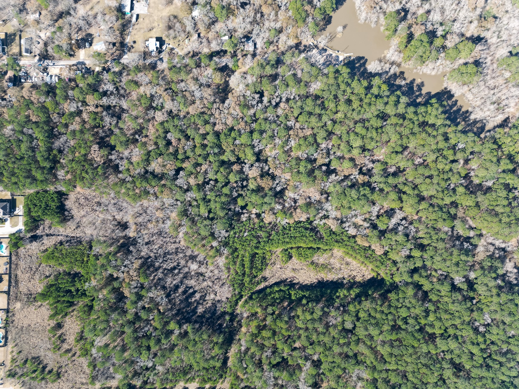 9 Dunnam Road Kingwood, TX 77345 - Photo 5 of 42 a picture of trees