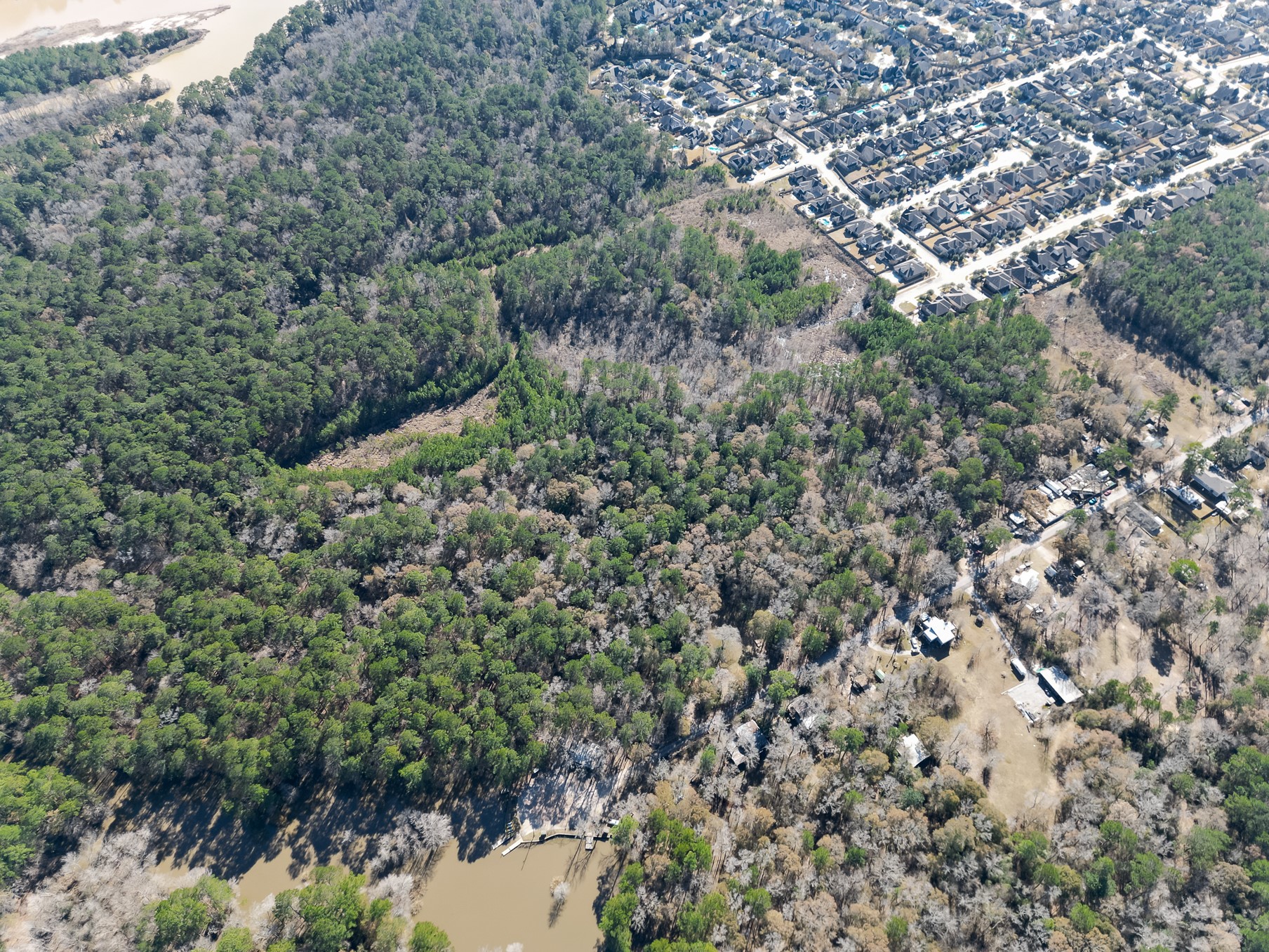 9 Dunnam Road Kingwood, TX 77345 - Photo 10 of 42 a view of a forest with a tree