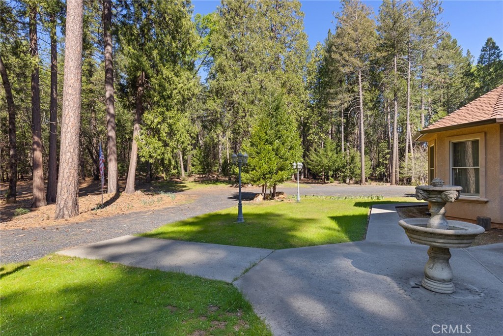 5005 Schott Road Forest Ranch, CA 95942 - Photo 36 of 56