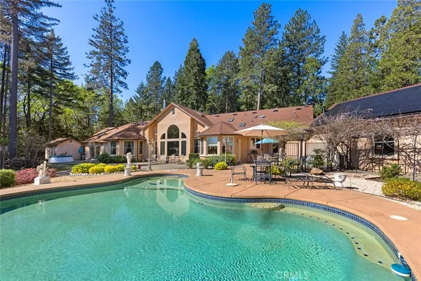 a view of a swimming pool with lawn chairs and plants