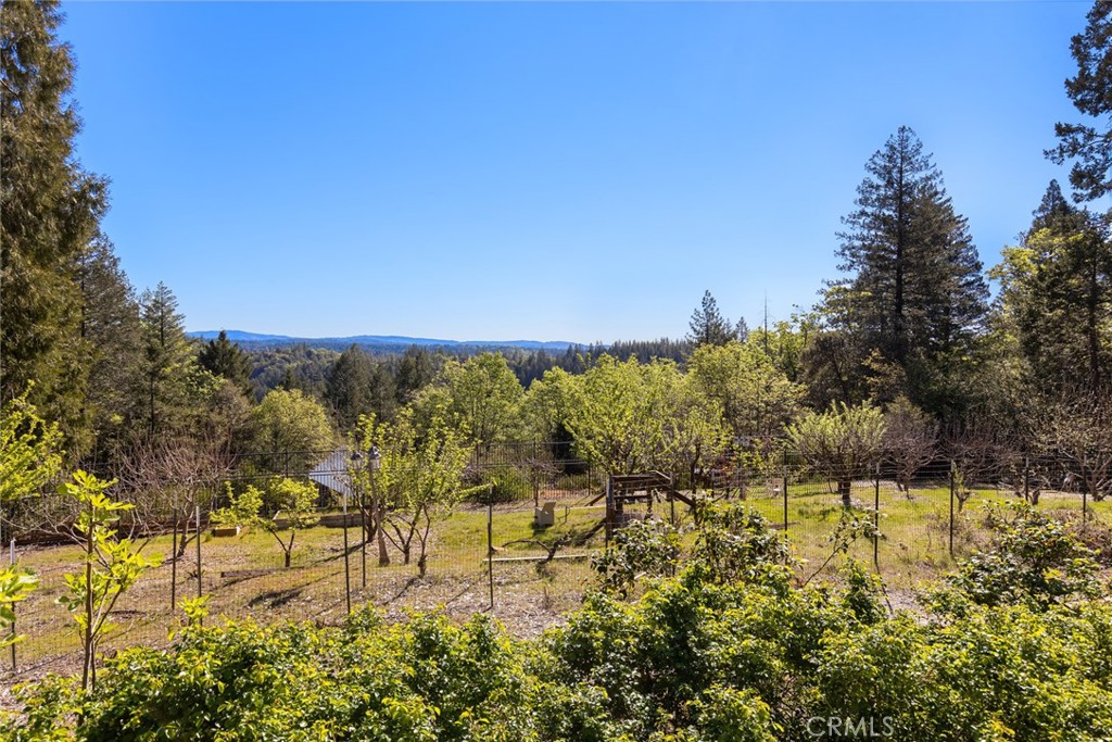 5005 Schott Road Forest Ranch, CA 95942 - Photo 48 of 56