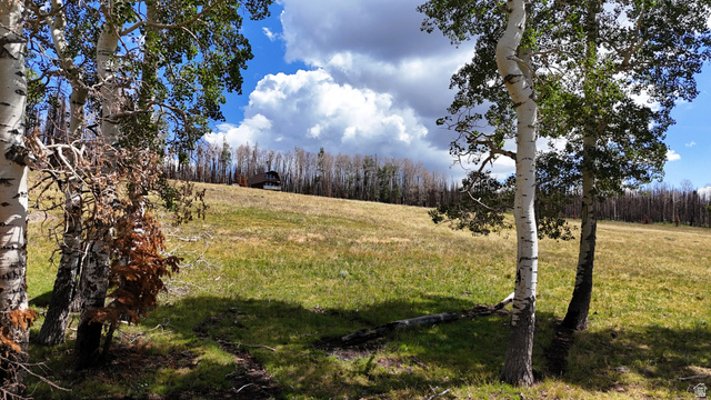 123 Tbd Monroe Canyon Road Monroe, UT 84754 - Photo 16 of 92 Expansive hillside property featuring a distant residence and mature aspen trees