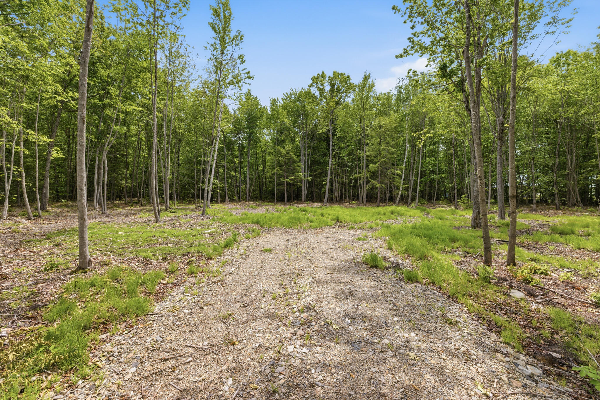 0 Buzzell Road Acton, ME 04001 - Photo 8 of 17 21