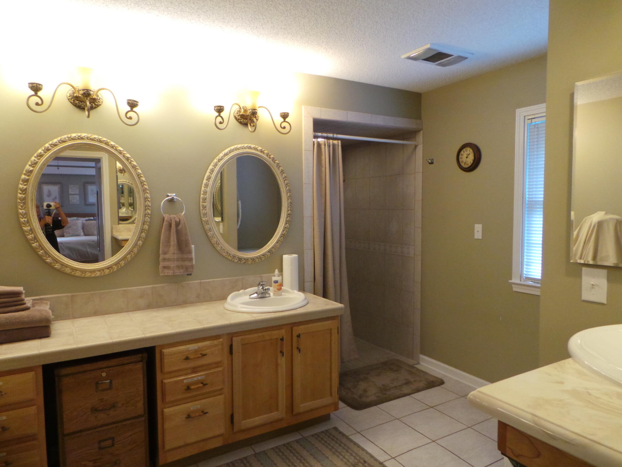 169 Laurel View Road Jonesborough, TN 37659 - Photo 6 of 159 MASTER BATH