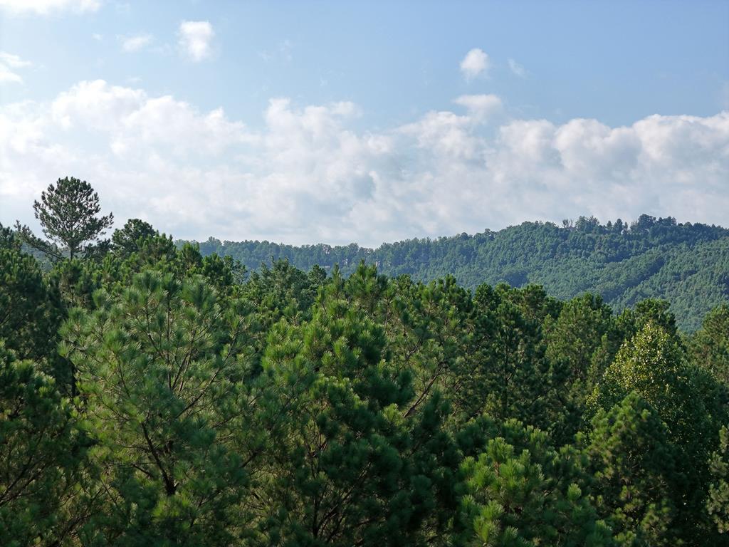 278 Ridge Pointe Way Blairsville, GA 30512 - Photo 21 of 54 Gallery Image 21