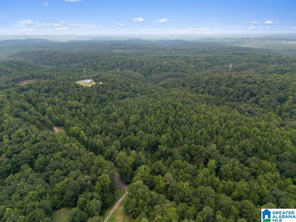 1014 Pumpkin Center Cut Off Road Quinton, AL 35130 - Photo 3 of 17 Gallery Image 3