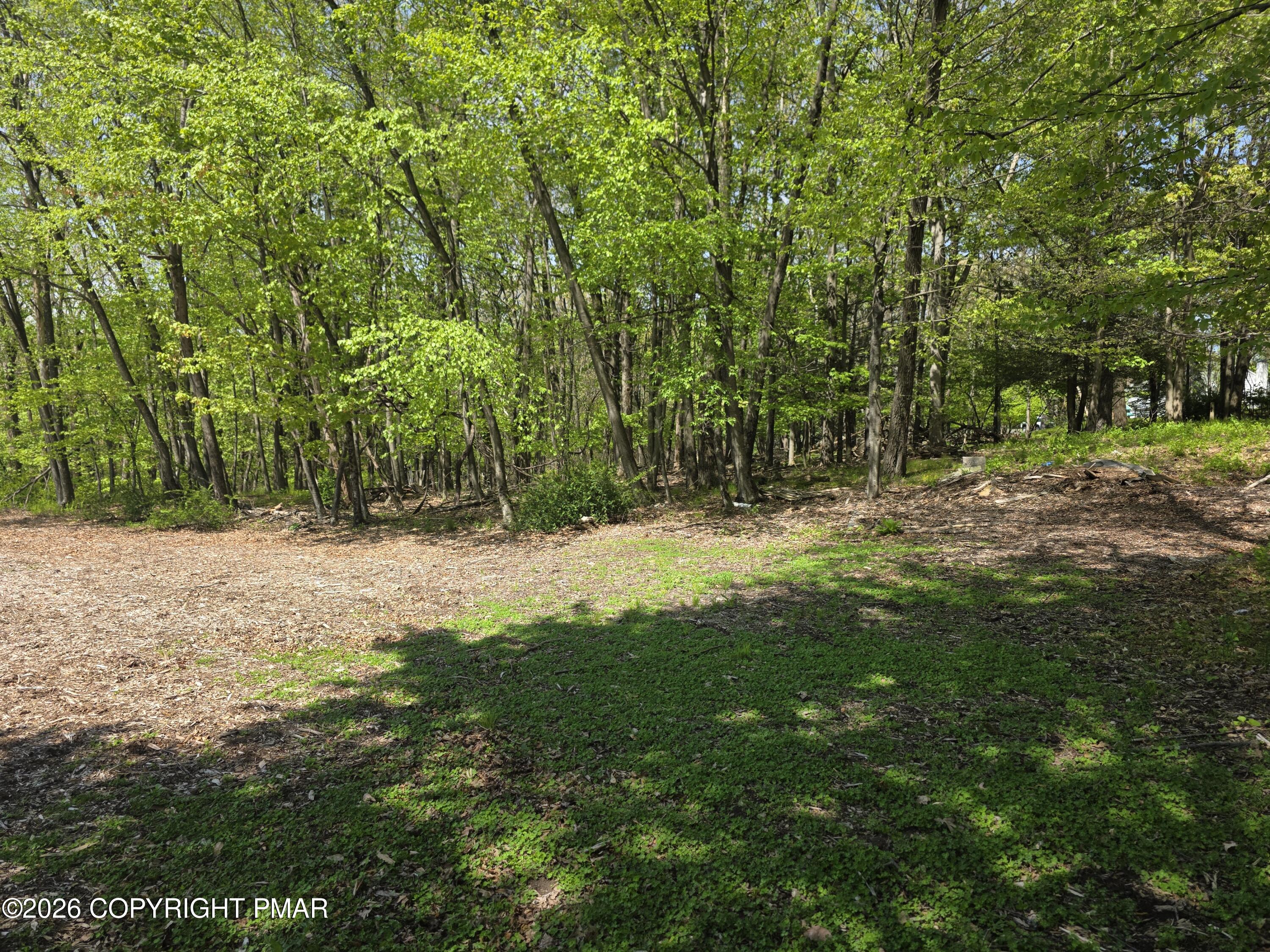 17 Laurel Lane Mount Pocono, PA 18344 - Photo 6 of 13 20260517_104722