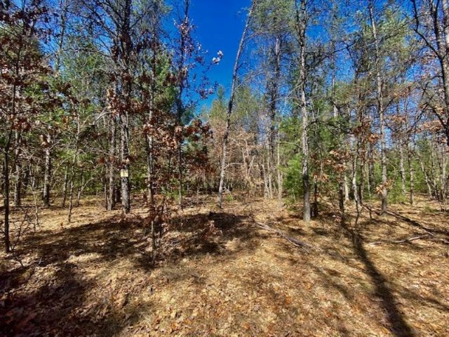 Steinberg Road, Unit 20 Manistee, MI 49660 - Photo 3 of 6 IMG_4968