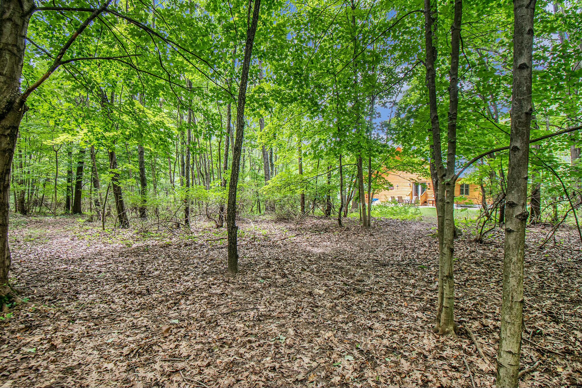 66885 Hess Road Edwardsburg, MI 49112 - Photo 8 of 29 tempImageWPitLV