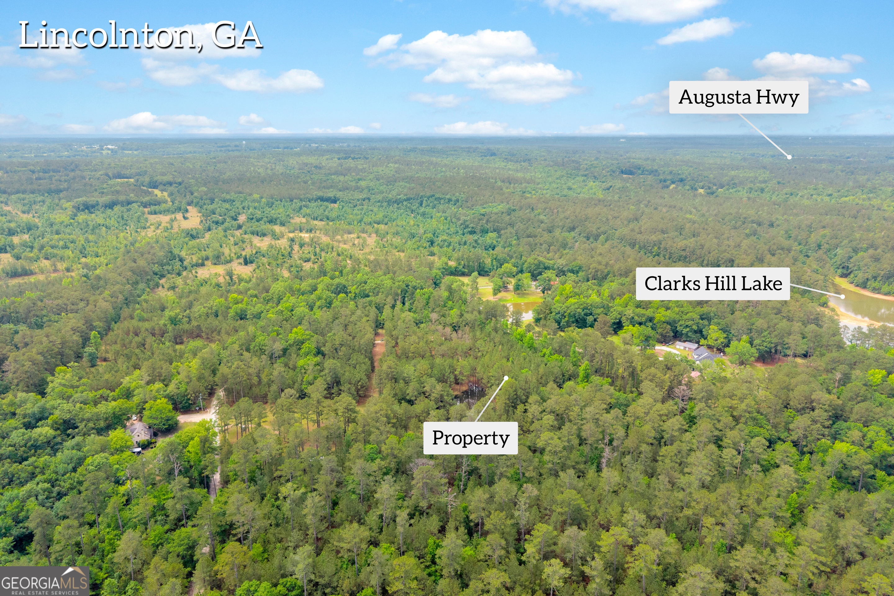 0 Clary Road Lincolnton, GA 30817 - Photo 7 of 16